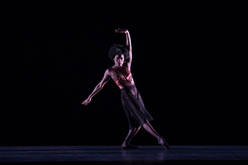 Dance Theatre of Harlem: Dancing in Ingrid Silva's Shoes - Hanover